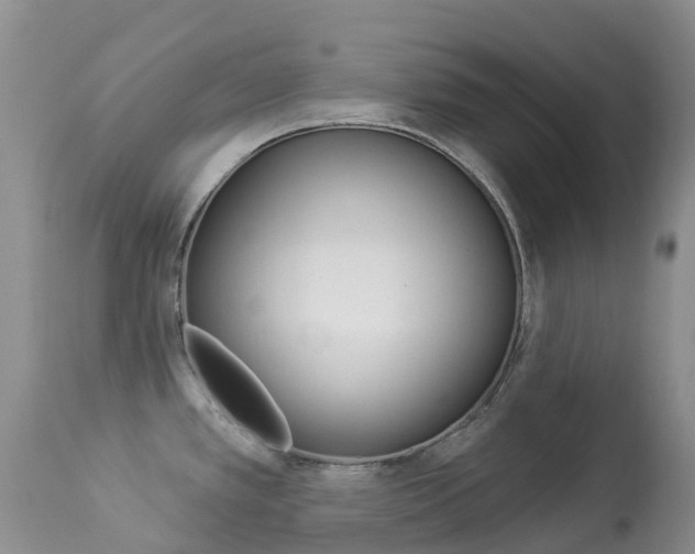 X0000113961389200909251016