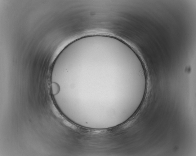 X0000113961390200909251016