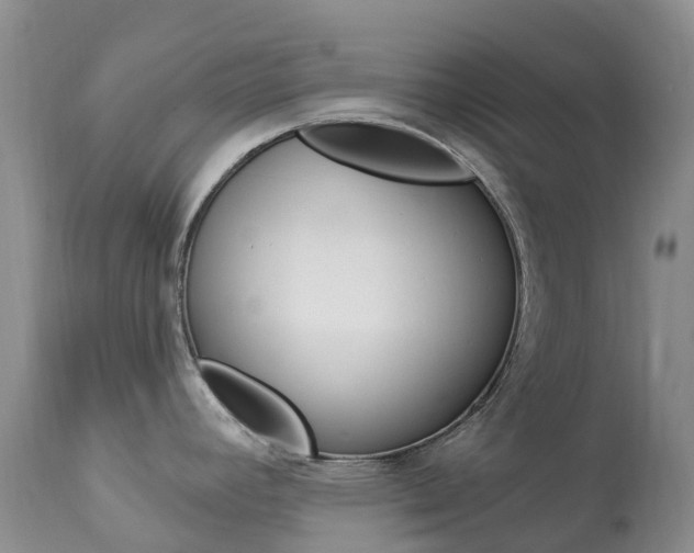 X0000113961392200909251016