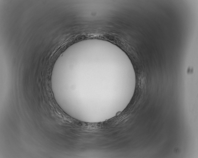 X0000113961393200909251015