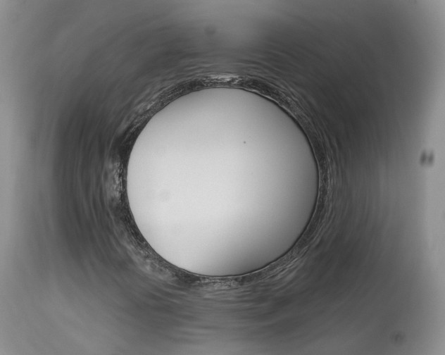 X0000113961394200909251015