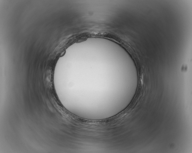 X0000113961396200909251015