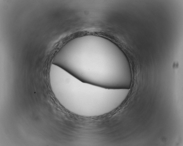 X0000113961398200909251015
