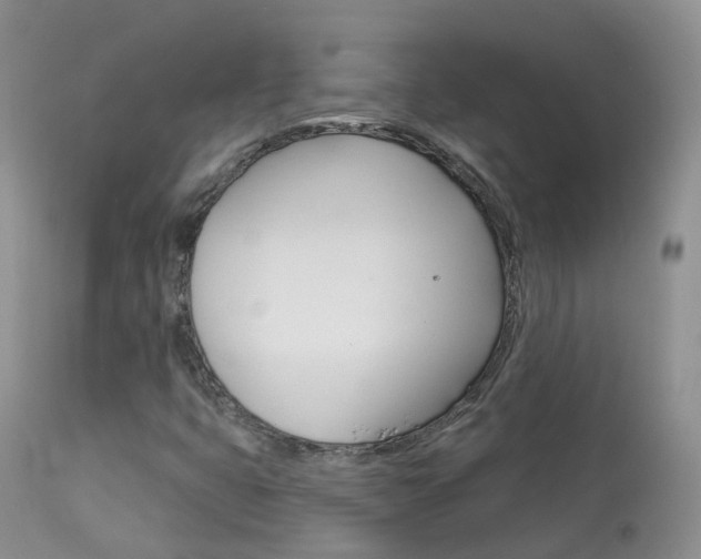 X0000113961399200909251015