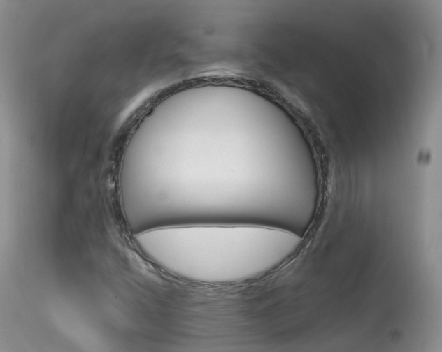 X0000113961400200909251015