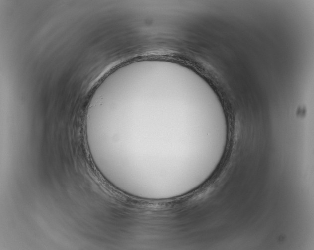 X0000113961401200909251015
