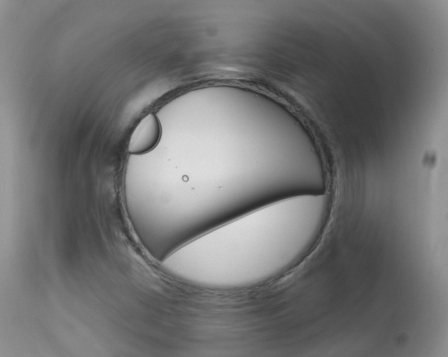 X0000113961402200909251015