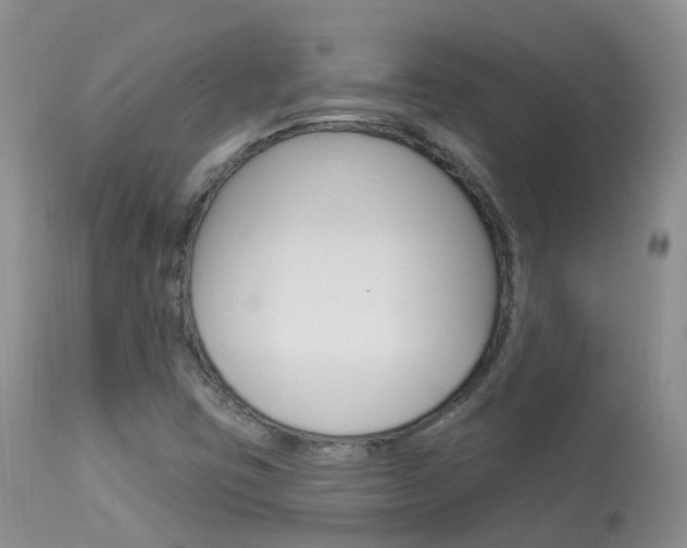 X0000113961403200909251015