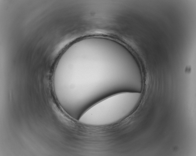 X0000113961404200909251015