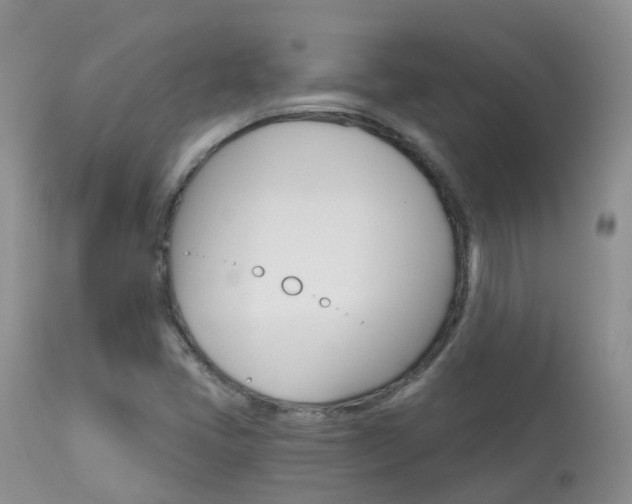 X0000113961405200909251015