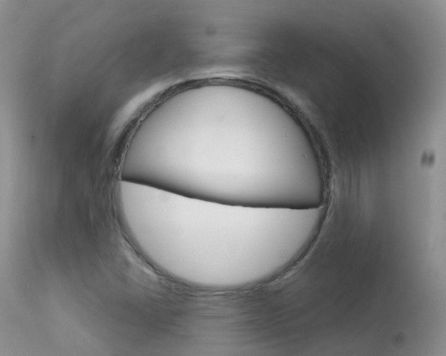 X0000113961406200909251015