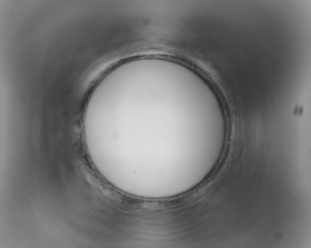 X0000113961407200909251015
