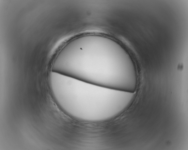 X0000113961408200909251015