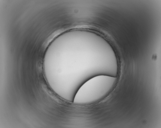 X0000113961409200909251015