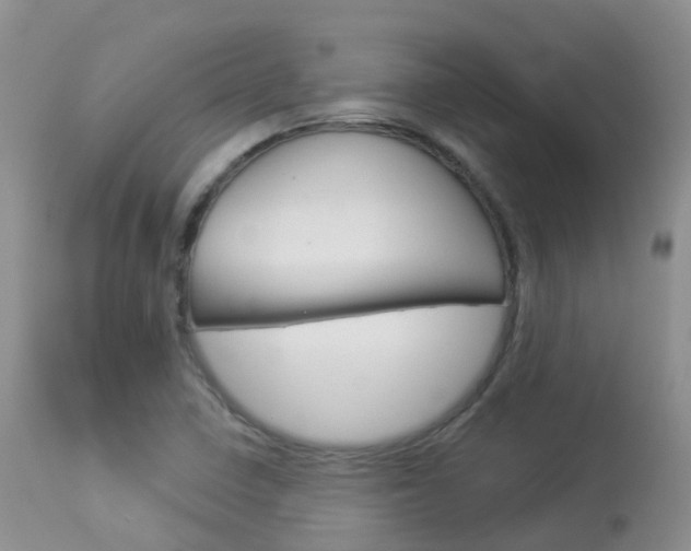 X0000113961410200909251015