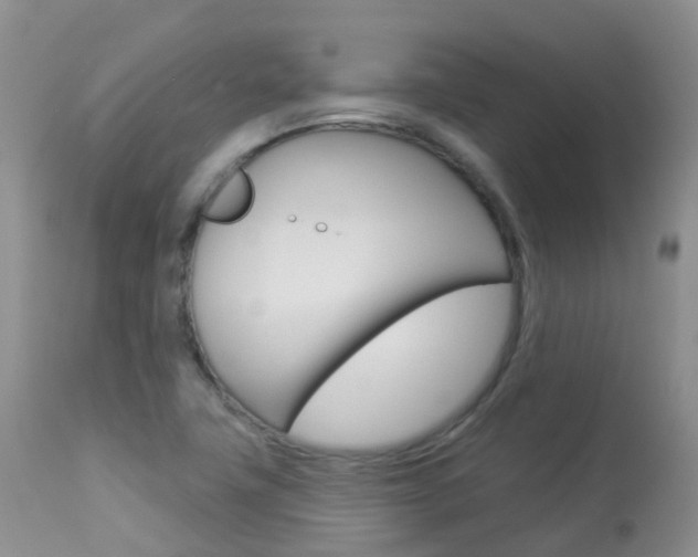 X0000113961411200909251015