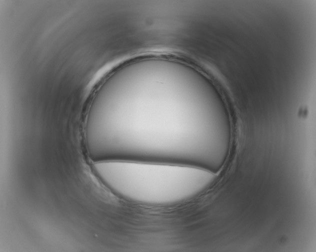 X0000113961412200909251015