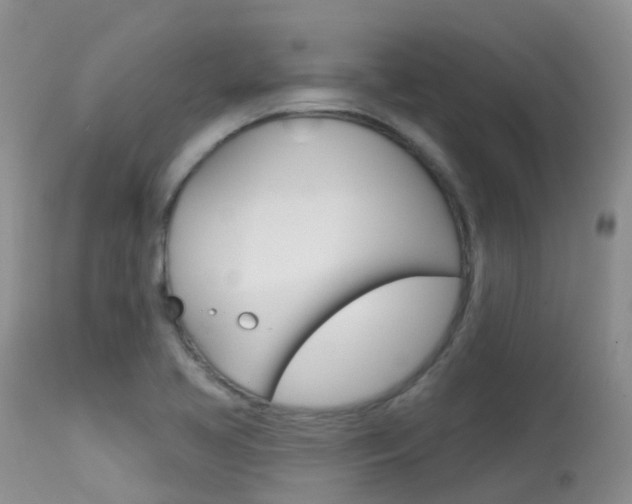 X0000113961413200909251016