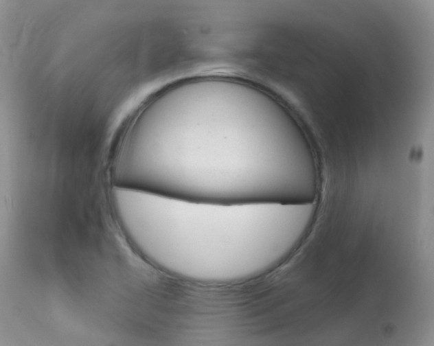 X0000113961414200909251016