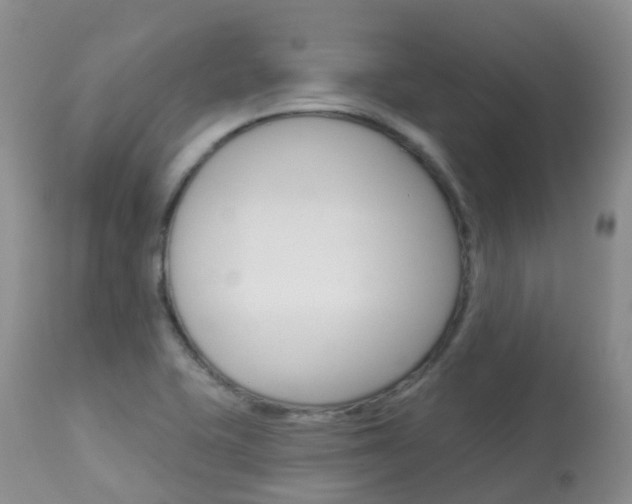 X0000113961415200909251016