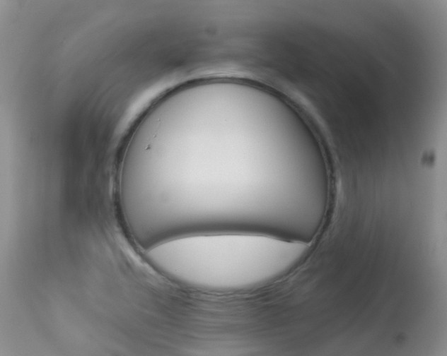 X0000113961416200909251016
