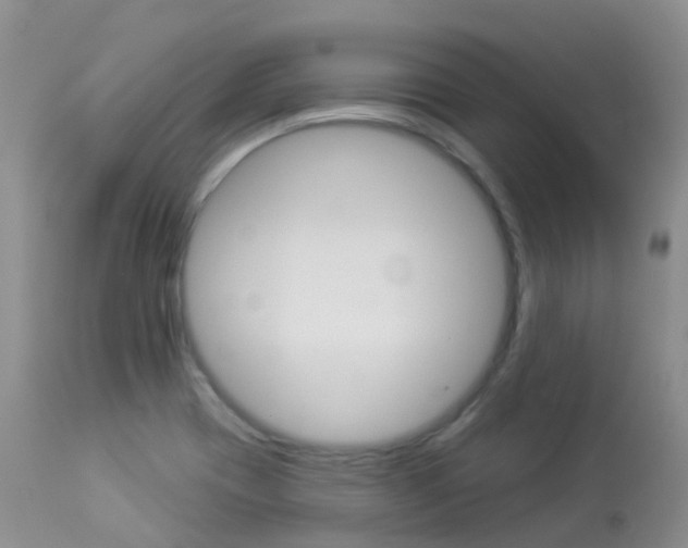 X0000113961417200909251016