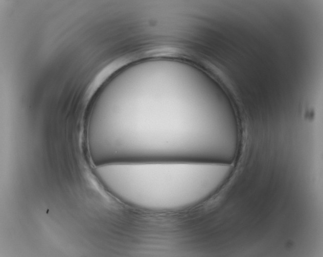 X0000113961418200909251016