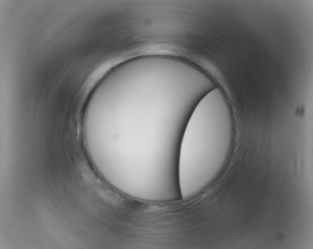 X0000113961419200909251016