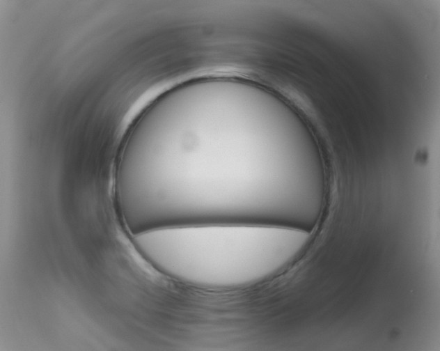 X0000113961420200909251016