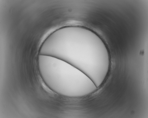 X0000113961421200909251016