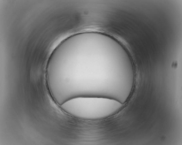 X0000113961423200909251016