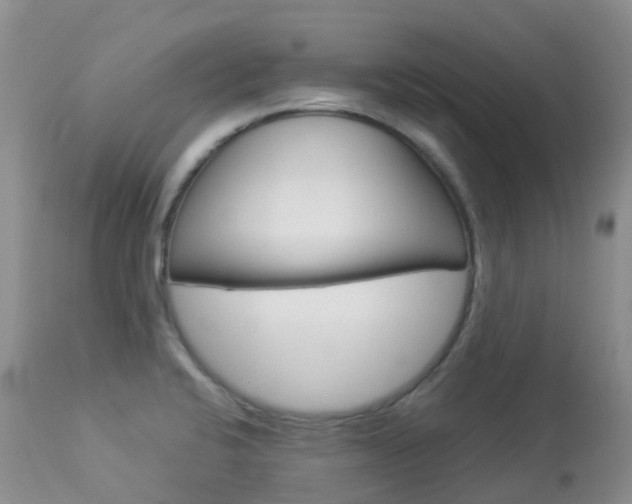 X0000113961424200909251016