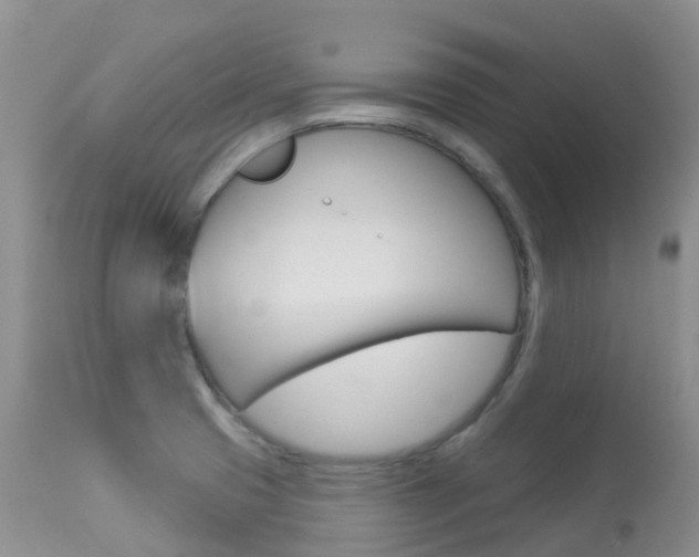 X0000113961425200909251016