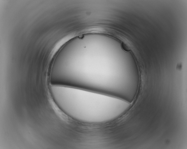 X0000113961426200909251016