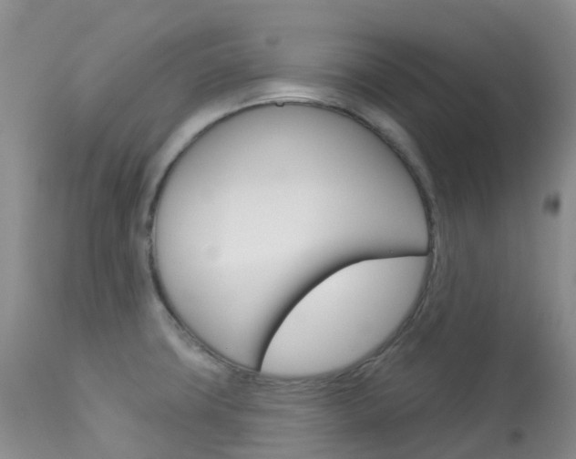 X0000113961427200909251016