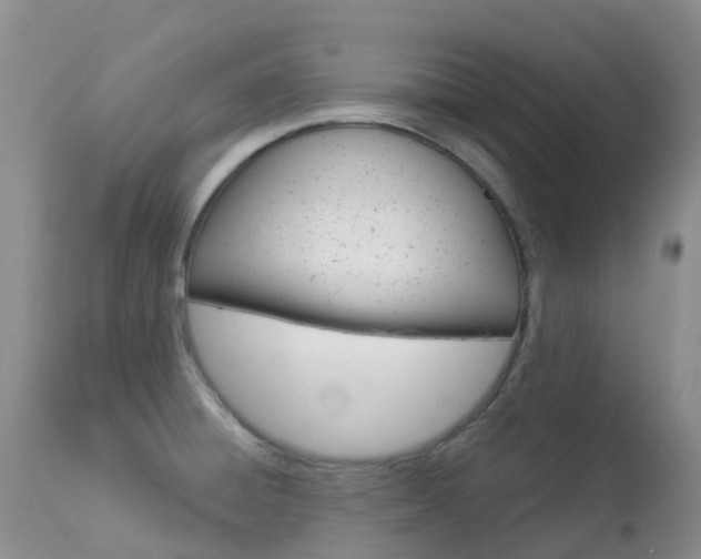 X0000113961428200909251016