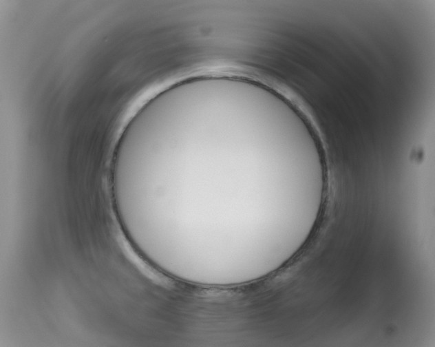 X0000113961429200909251016