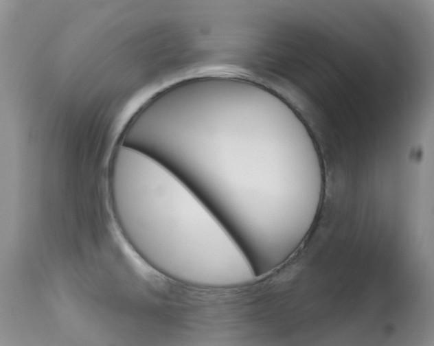 X0000113961430200909251016