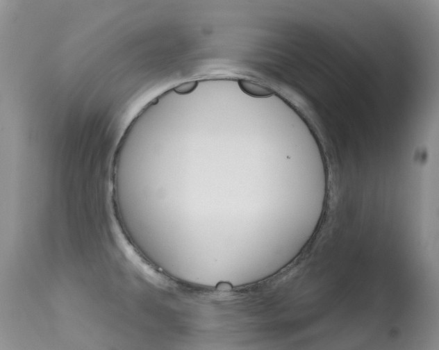 X0000113961431200909251016