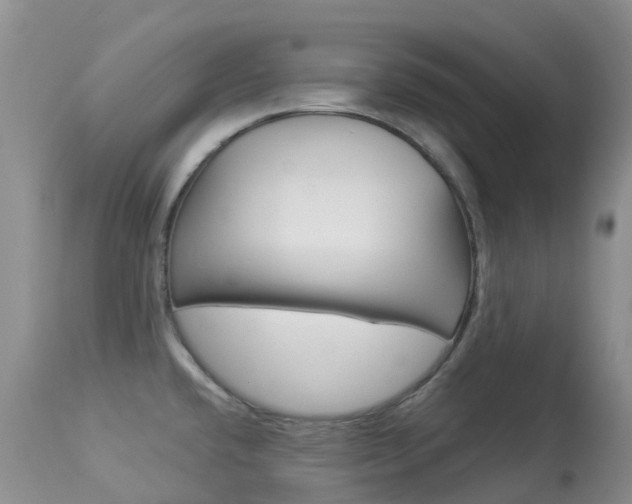 X0000113961432200909251016