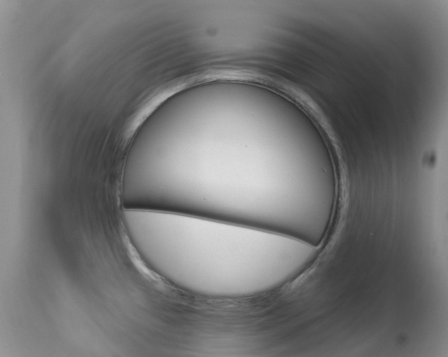 X0000113961433200909251016