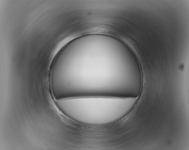 X0000113961434200909251016