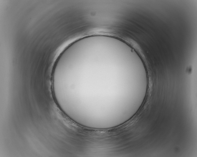X0000113961435200909251016