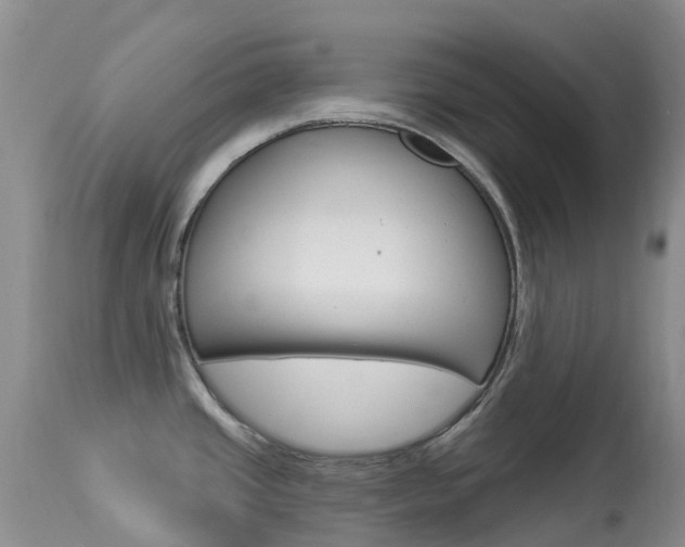 X0000113961437200909251016