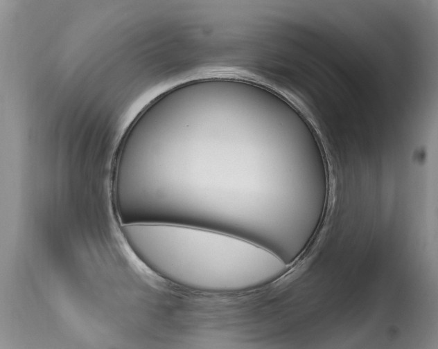 X0000113961438200909251016