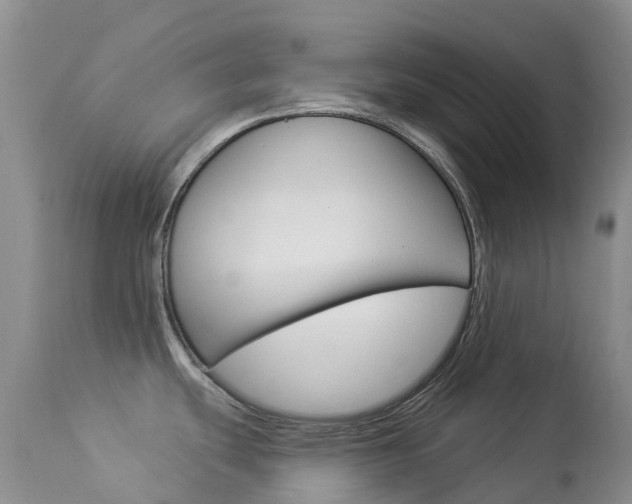 X0000113961439200909251016