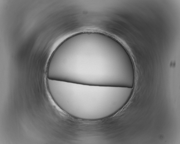 X0000113961440200909251016