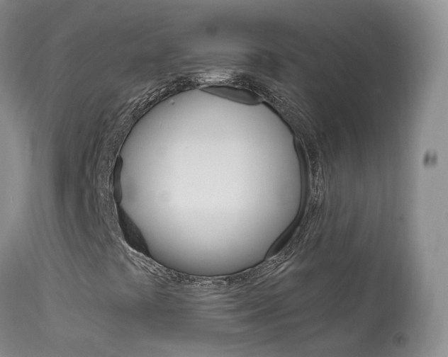 X0000113961441200909251015