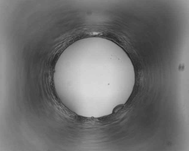 X0000113961442200909251015