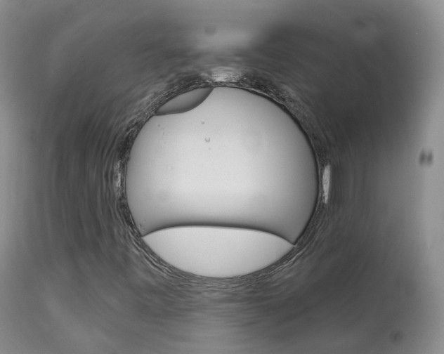 X0000113961443200909251015
